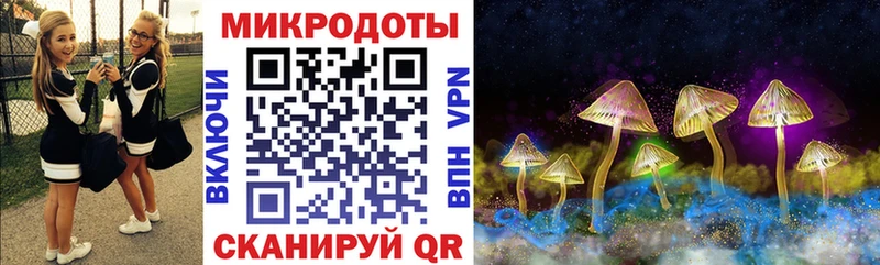 Галлюциногенные грибы Psilocybe МЕГА вход Шилка